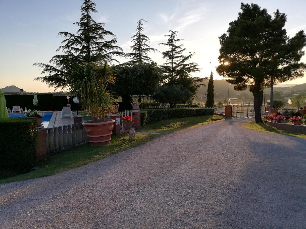 Galeazzi *