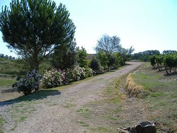 Galeazzi Farm stay *